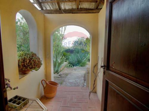 Villa Agave