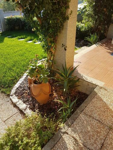 Apartamento Casa Bouganville
