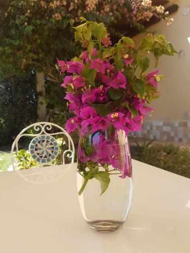 Apartamento Casa Bouganville