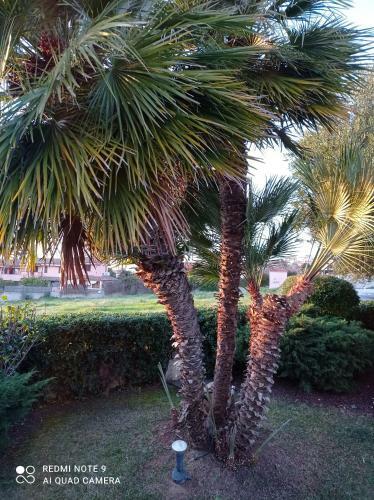 Bed & Breakfast La Forma Dell'acqua