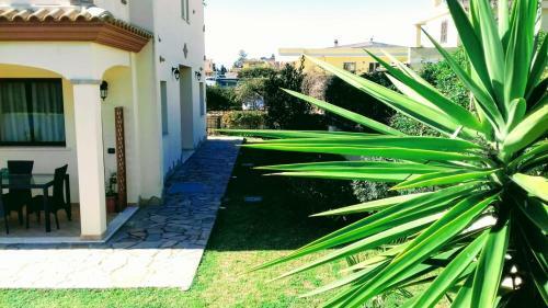 Bed And Breakfast Las Tortugas 2