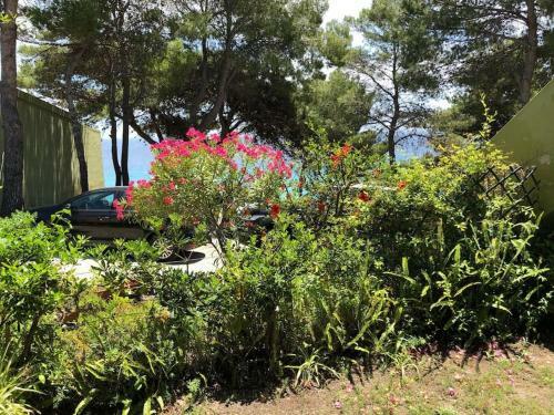 UNA Finestra Sul Mare