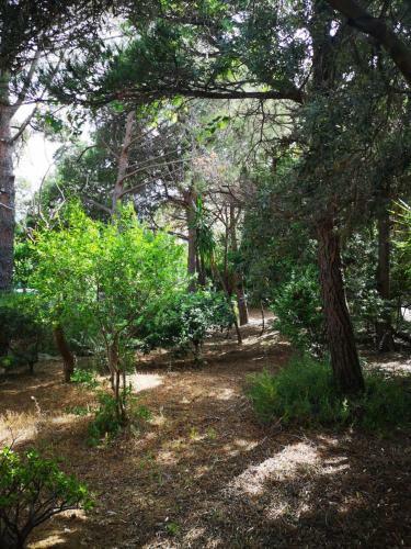 Villa Zita A Mare Solanas Sardegna