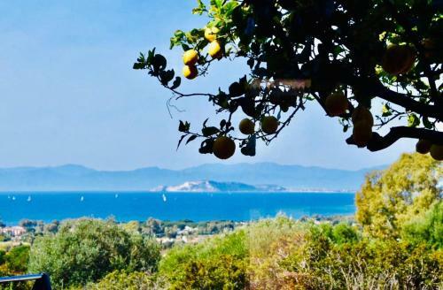 Casa Limone With Spectacular View And Gasbbq!
