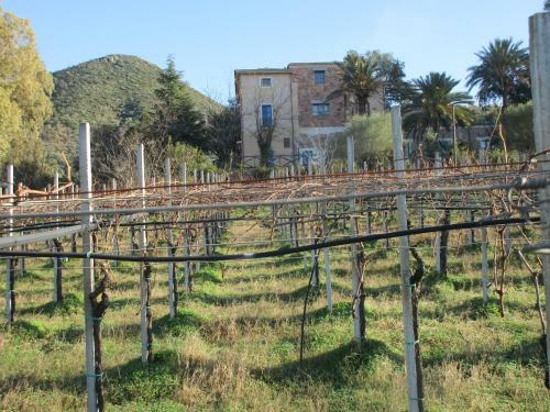 Agroturismo Sa Perda Arrubia