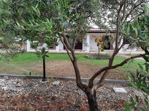Villa Vacanze Is Carcuris