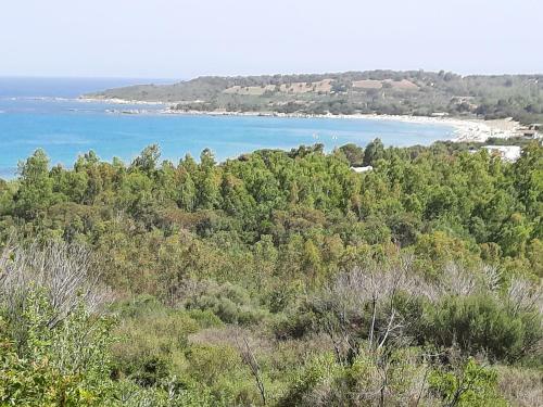 Villa Vacanze Is Carcuris