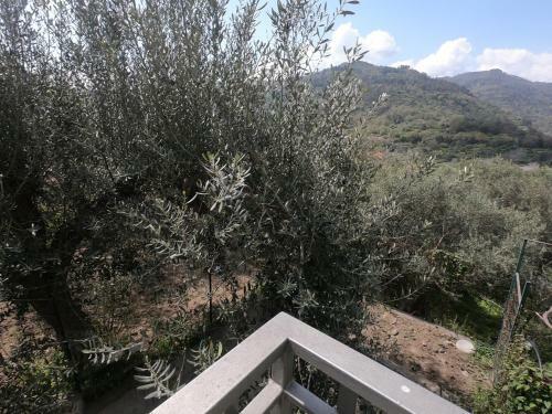 Apartamento Gole Alcantara Lanternavacanze
