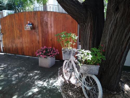 Apartamento Guest House Oleandro Iun 2727