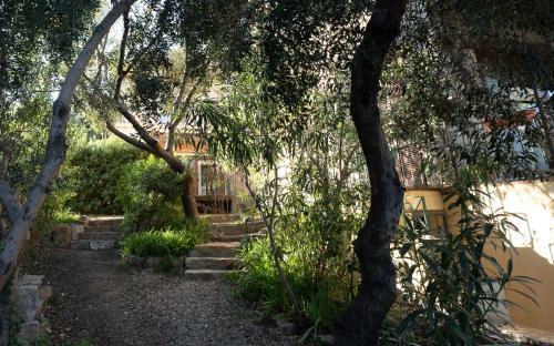Apartamento Un Giardino Sul Mare
