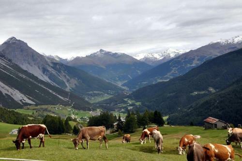 Apartamento Rosengarden Alpine Residence