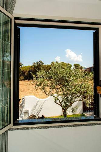 Casa Indipendente Con Giardino - Sardegna Settentrionale