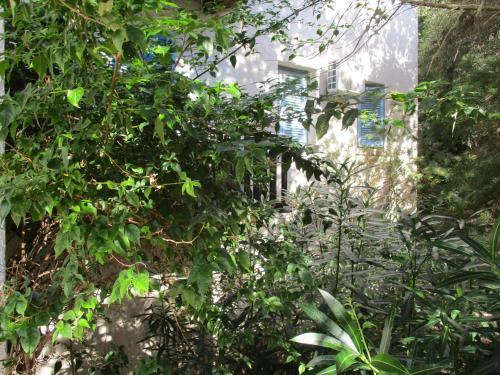 Apartamento Ginepri 5