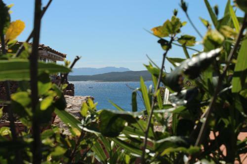 Appartamento A Porto Rotondo - Villaggio Punta Volpe