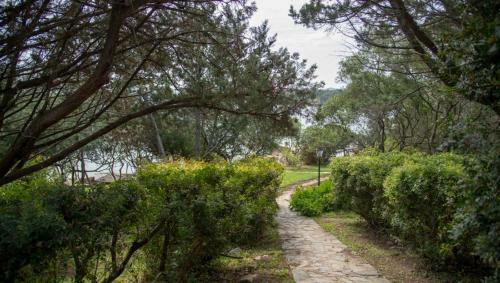 Appartamento A Porto Rotondo - Villaggio Punta Volpe