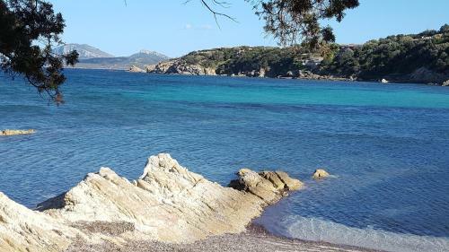Appartamento A Porto Rotondo - Villaggio Punta Volpe