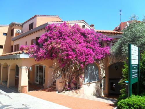 Apartamento Sapoderada