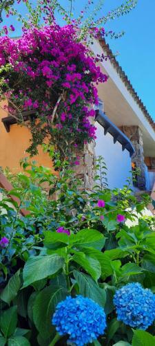 Smeralda Wave - Sea View Apartment