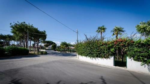 Bungalow Coccinella