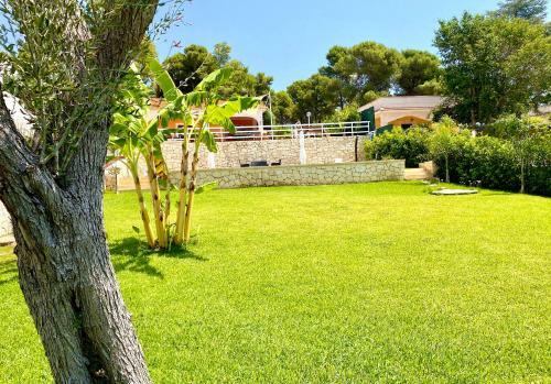 Villa Lucia