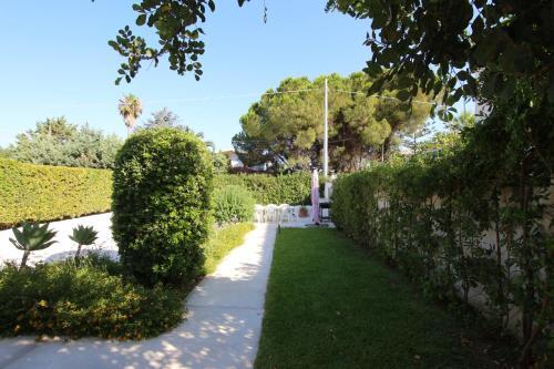 Apartamento Wifi Nemo Vicino Al Mare