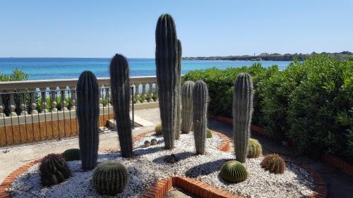 Villa Sogno Sulla Spiaggia