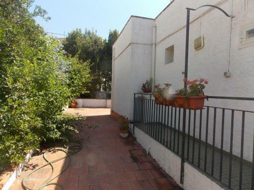 Villa Damiana