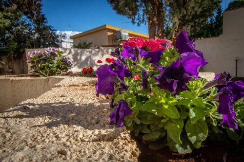 Apartamento Villa Cassiopea
