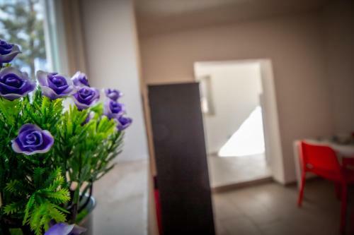 Apartamento Villa Cassiopea