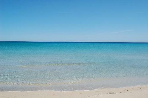Le Tre Palme