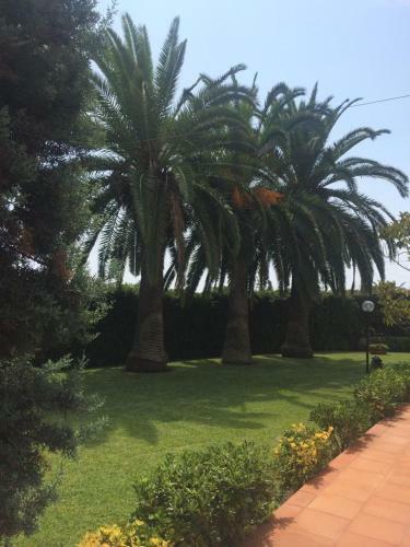 Le Tre Palme