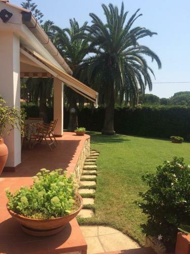 Le Tre Palme