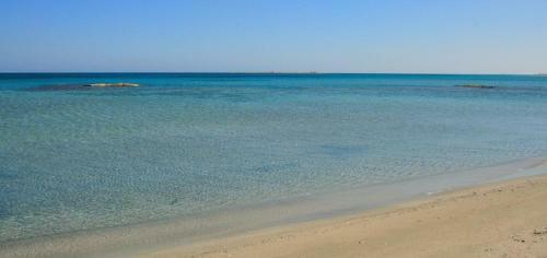 Le Tre Palme