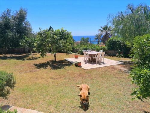 Villa Nanda A 200mt Dal Mare Con Scogliera