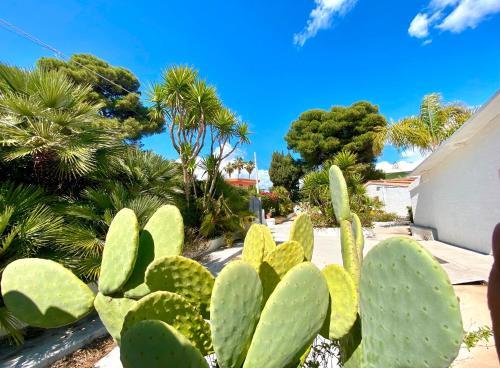 Apartamento Case Al Mare Fontane Bianche