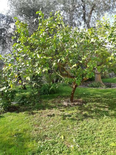 Apartamento Casa Vacanze Ester