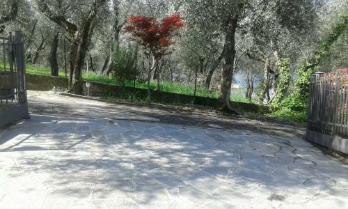 Apartamento Ca' Otello