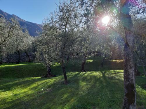 Apartamento Appartamenti Prima Luce