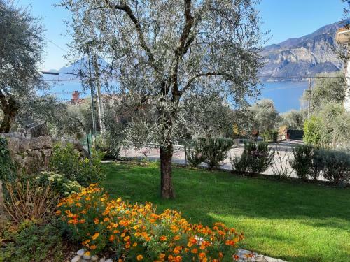 Apartamento Appartamenti Prima Luce