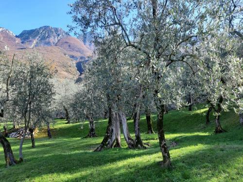 Apartamento Appartamenti Prima Luce