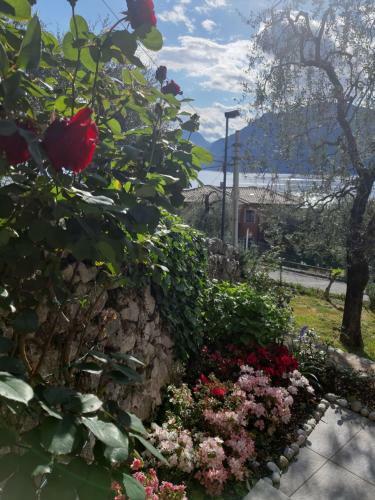 Apartamento Appartamenti Prima Luce