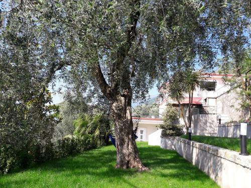 Apartamento Casa Punta Veleno