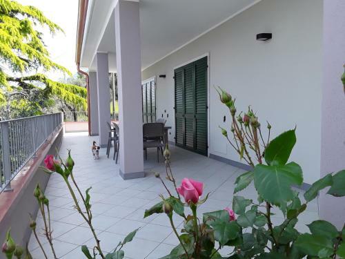 Apartamento Casa Punta Veleno