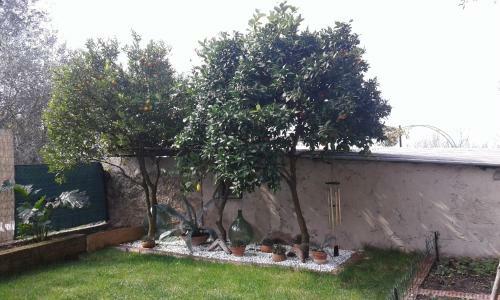 Appartamenti Casa Nina