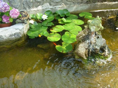 Apartamento Villa Due Leoni - Residence