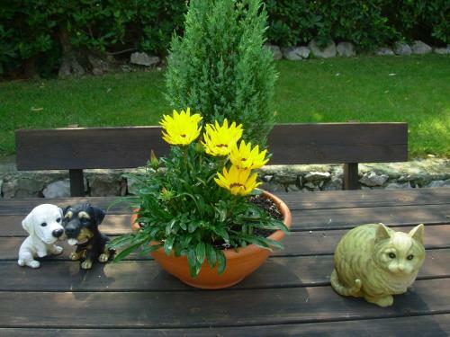 Apartamento Villa Due Leoni - Residence