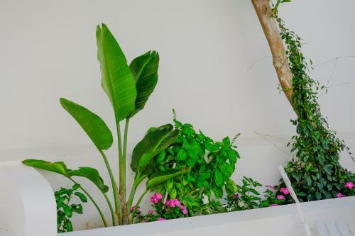Apartamento B&B Toci