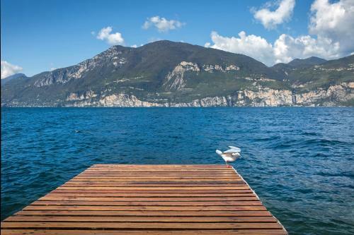 Villa Mimosa-con Piscina E Vista Lago
