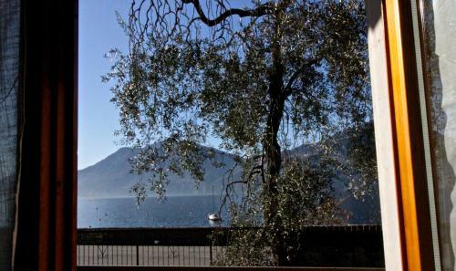 Apartamento Lorena House