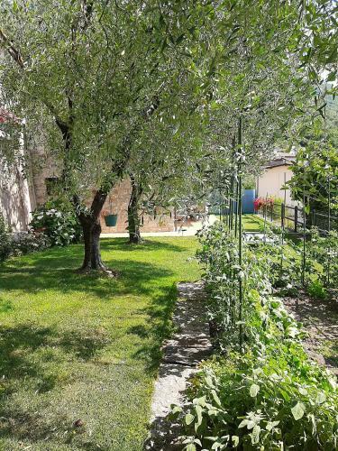 Apartment Maria